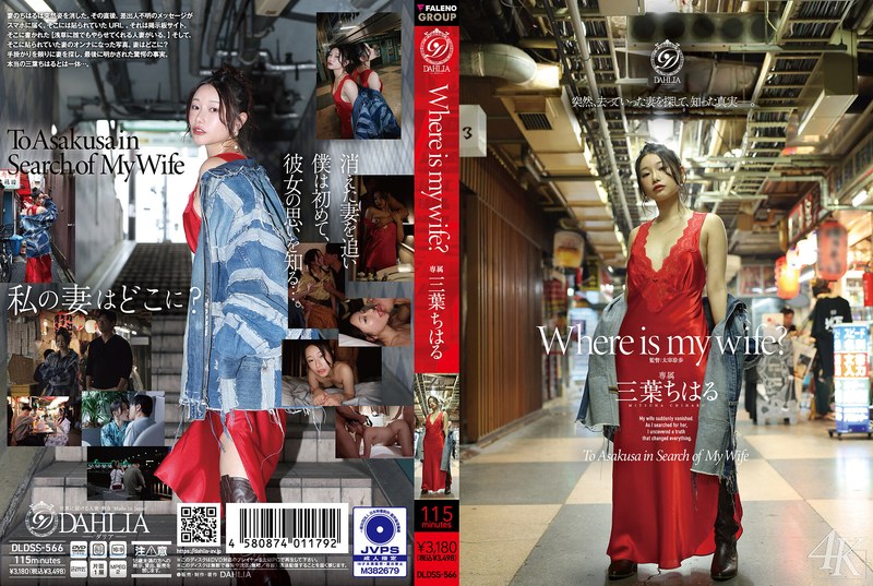 DLDSS-566 Where is my wife？ 三葉ちはる